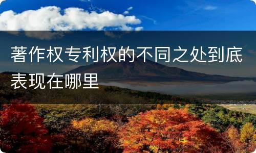 著作权专利权的不同之处到底表现在哪里