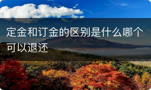 定金和订金的区别是什么哪个可以退还