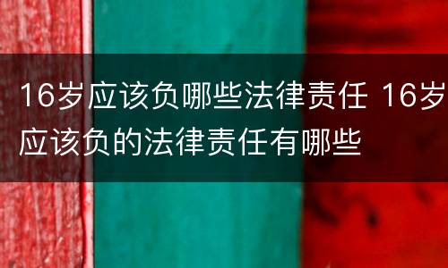 16岁应该负哪些法律责任 16岁应该负的法律责任有哪些