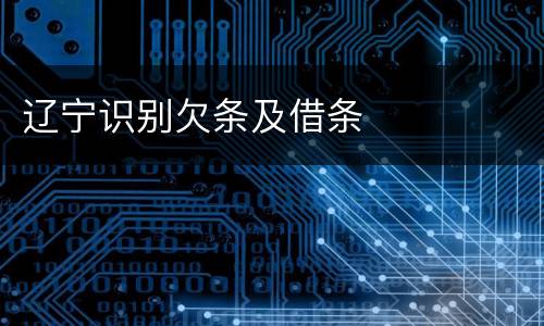 辽宁识别欠条及借条
