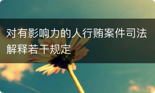 对有影响力的人行贿案件司法解释若干规定