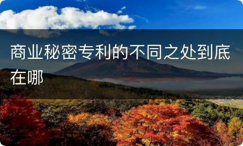 商业秘密专利的不同之处到底在哪