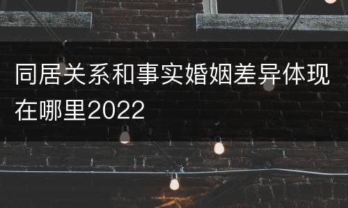 同居关系和事实婚姻差异体现在哪里2022