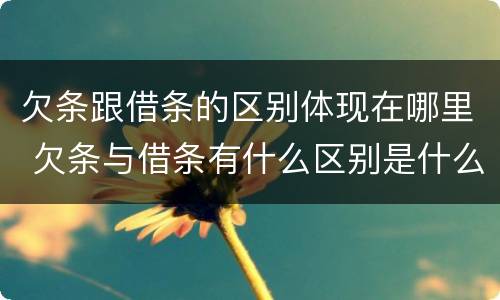 欠条跟借条的区别体现在哪里 欠条与借条有什么区别是什么