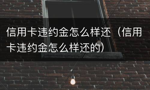 信用卡违约金怎么样还（信用卡违约金怎么样还的）