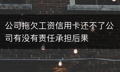 公司拖欠工资信用卡还不了公司有没有责任承担后果