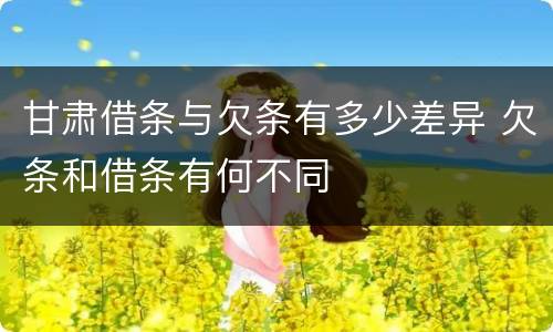 甘肃借条与欠条有多少差异 欠条和借条有何不同