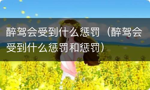 醉驾会受到什么惩罚（醉驾会受到什么惩罚和惩罚）