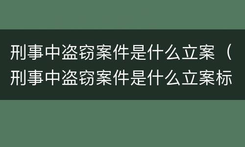 刑事中盗窃案件是什么立案（刑事中盗窃案件是什么立案标准）