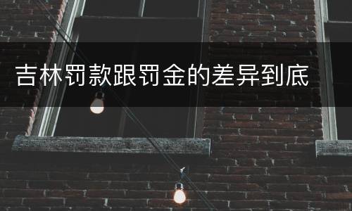 吉林罚款跟罚金的差异到底