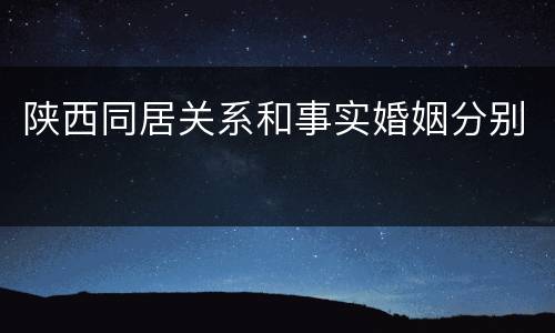 陕西同居关系和事实婚姻分别