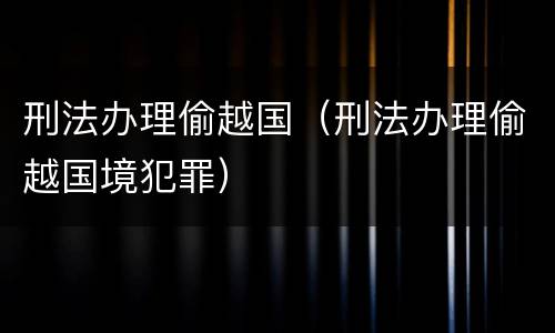 刑法办理偷越国（刑法办理偷越国境犯罪）
