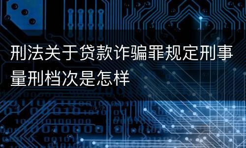 刑法关于贷款诈骗罪规定刑事量刑档次是怎样