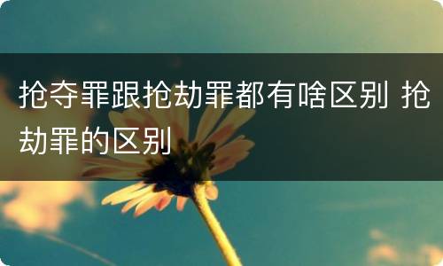 抢夺罪跟抢劫罪都有啥区别 抢劫罪的区别