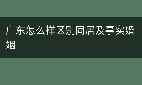 广东怎么样区别同居及事实婚姻