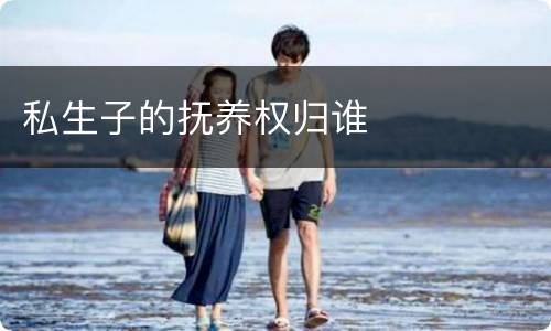 私生子的抚养权归谁