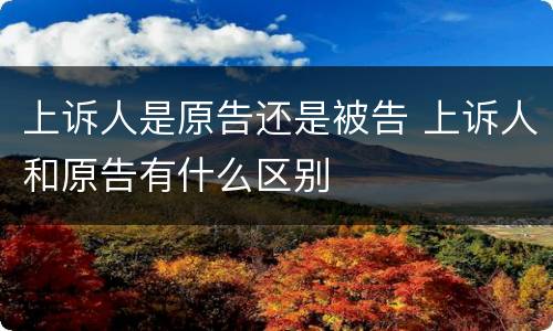 上诉人是原告还是被告 上诉人和原告有什么区别