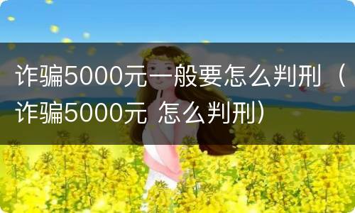 诈骗5000元一般要怎么判刑（诈骗5000元 怎么判刑）