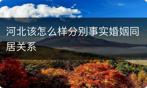 河北该怎么样分别事实婚姻同居关系