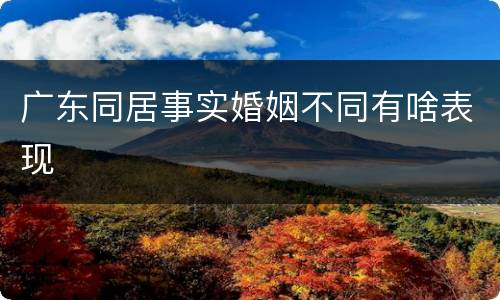 广东同居事实婚姻不同有啥表现