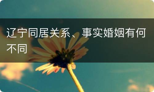 辽宁同居关系、事实婚姻有何不同