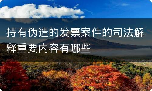 持有伪造的发票案件的司法解释重要内容有哪些