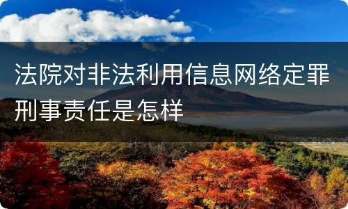 法院对非法利用信息网络定罪刑事责任是怎样