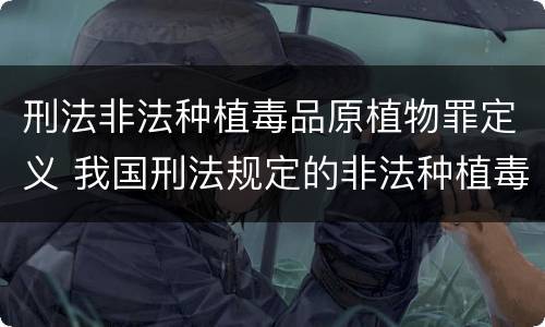 刑法非法种植毒品原植物罪定义 我国刑法规定的非法种植毒品原植物罪