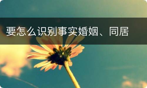 要怎么识别事实婚姻、同居