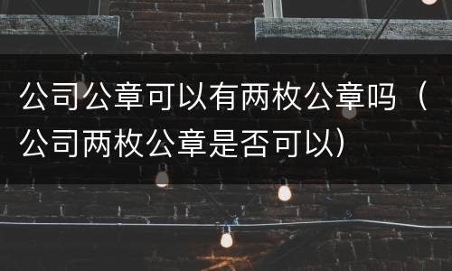 公司公章可以有两枚公章吗（公司两枚公章是否可以）