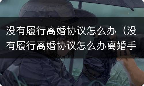 没有履行离婚协议怎么办（没有履行离婚协议怎么办离婚手续）