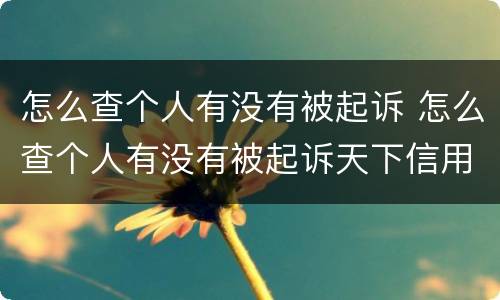 怎么查个人有没有被起诉 怎么查个人有没有被起诉天下信用好用么