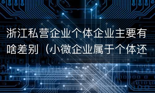 浙江私营企业个体企业主要有啥差别（小微企业属于个体还是私营）