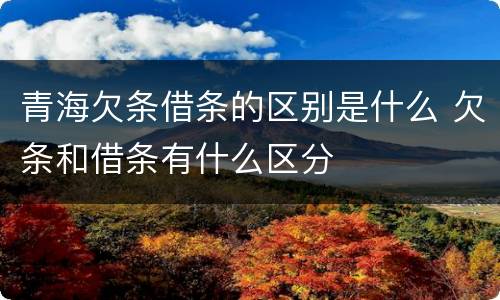 青海欠条借条的区别是什么 欠条和借条有什么区分