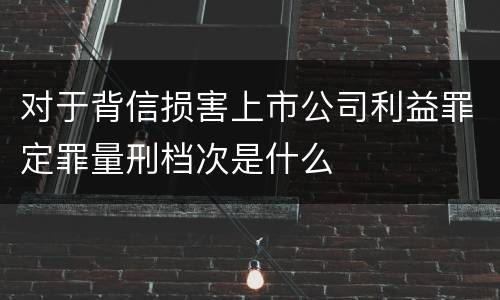 对于背信损害上市公司利益罪定罪量刑档次是什么