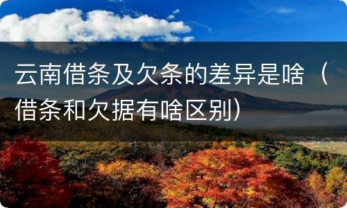 云南借条及欠条的差异是啥（借条和欠据有啥区别）