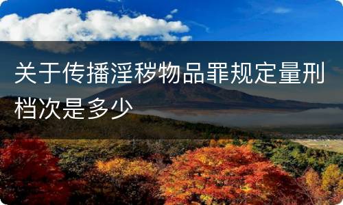 关于传播淫秽物品罪规定量刑档次是多少