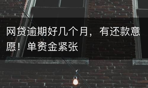 网贷逾期好几个月，有还款意愿！单资金紧张