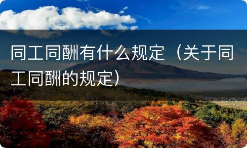 同工同酬有什么规定（关于同工同酬的规定）