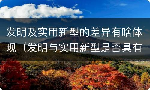 发明及实用新型的差异有啥体现（发明与实用新型是否具有实用性）