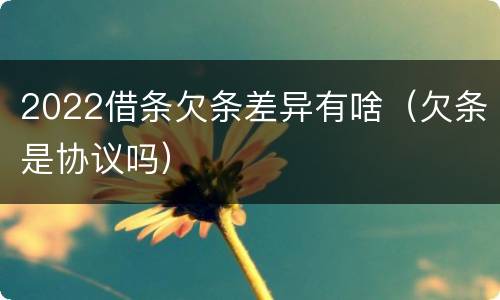 2022借条欠条差异有啥（欠条是协议吗）