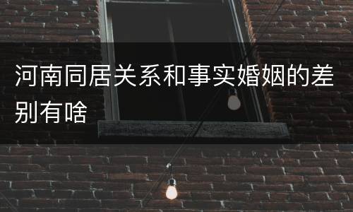 河南同居关系和事实婚姻的差别有啥