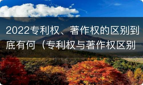 2022专利权、著作权的区别到底有何（专利权与著作权区别）