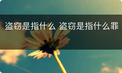 盗窃是指什么 盗窃是指什么罪