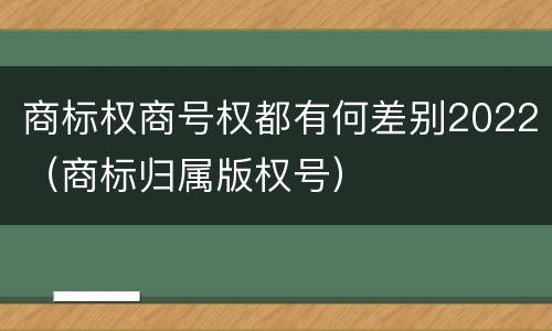 商标权商号权都有何差别2022（商标归属版权号）
