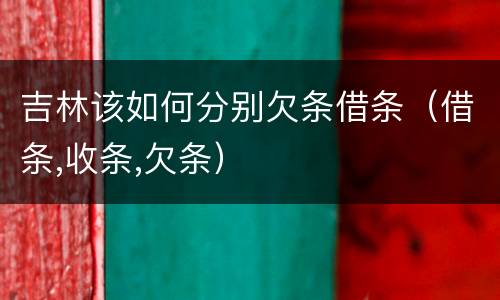 吉林该如何分别欠条借条（借条,收条,欠条）