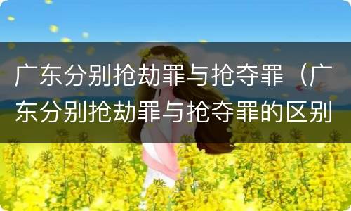 广东分别抢劫罪与抢夺罪（广东分别抢劫罪与抢夺罪的区别）