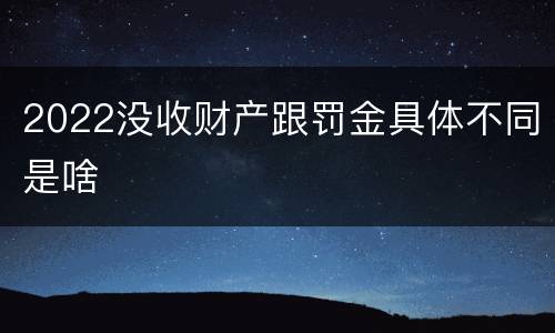 2022没收财产跟罚金具体不同是啥