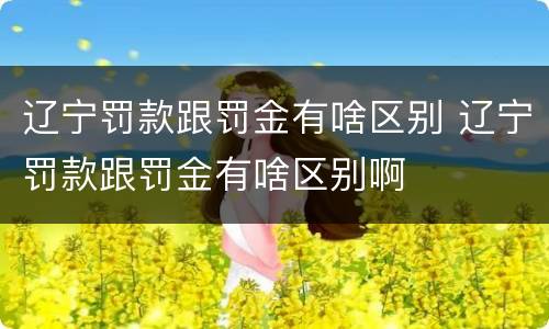 辽宁罚款跟罚金有啥区别 辽宁罚款跟罚金有啥区别啊