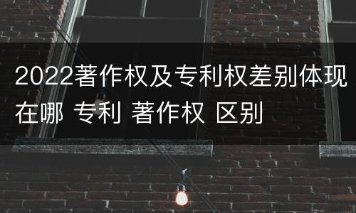 2022著作权及专利权差别体现在哪 专利 著作权 区别